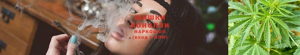 гидропоника Бугульма