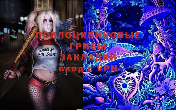 прущая мука Бородино